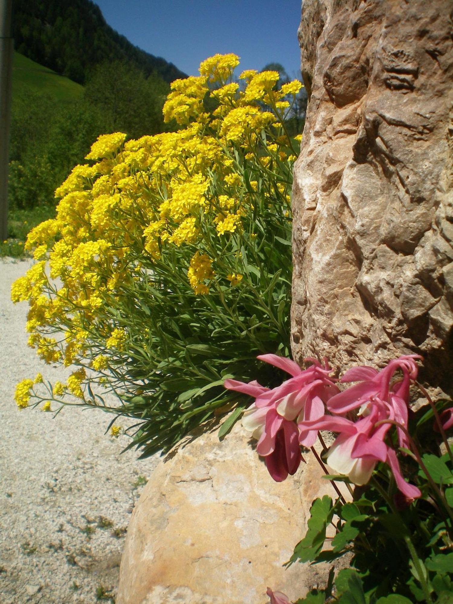 Villa Otto Santa Cristina Val Gardena Buitenkant foto